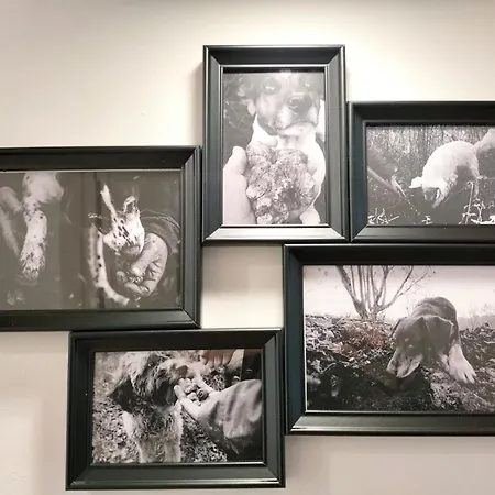 شقة Casa Laura Magliano Alfieri